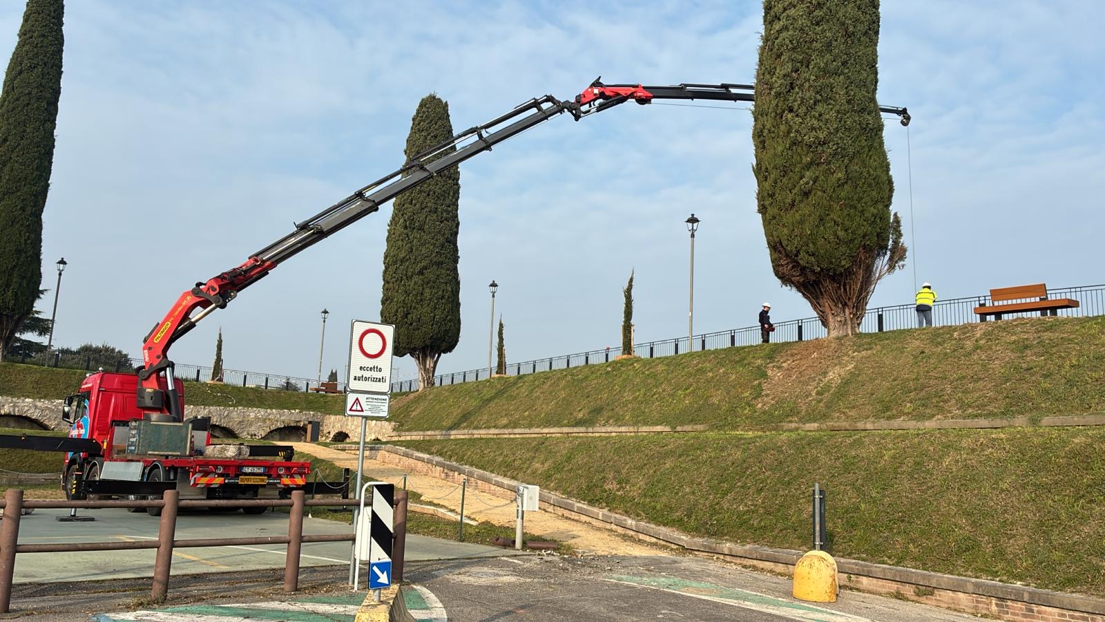 Gru a lungo sbraccio in area verde